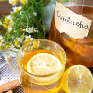 Zdrowy Ferment Warsztaty Kombuchy