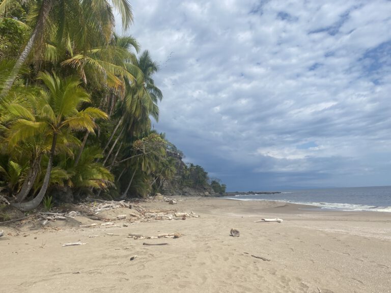 Między dżunglą a oceanem: Moja kostarykańska przygoda