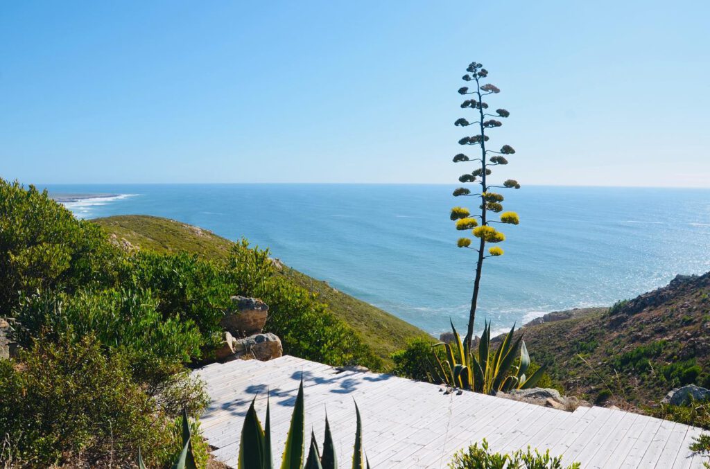 platforma do jogi z widokiem na ocean z Bright Boho